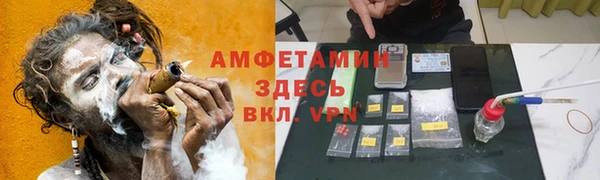 мдпв Богданович