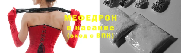 мдпв Богданович