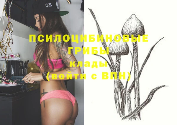 ГАЛЛЮЦИНОГЕННЫЕ ГРИБЫ Богородицк