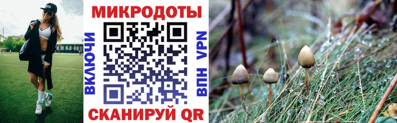 Псилоцибиновые грибы Cubensis  omg рабочий сайт  Хотьково 
